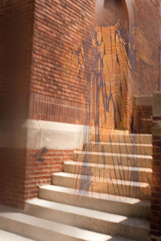 Ruth Feldman NKG Boston MA