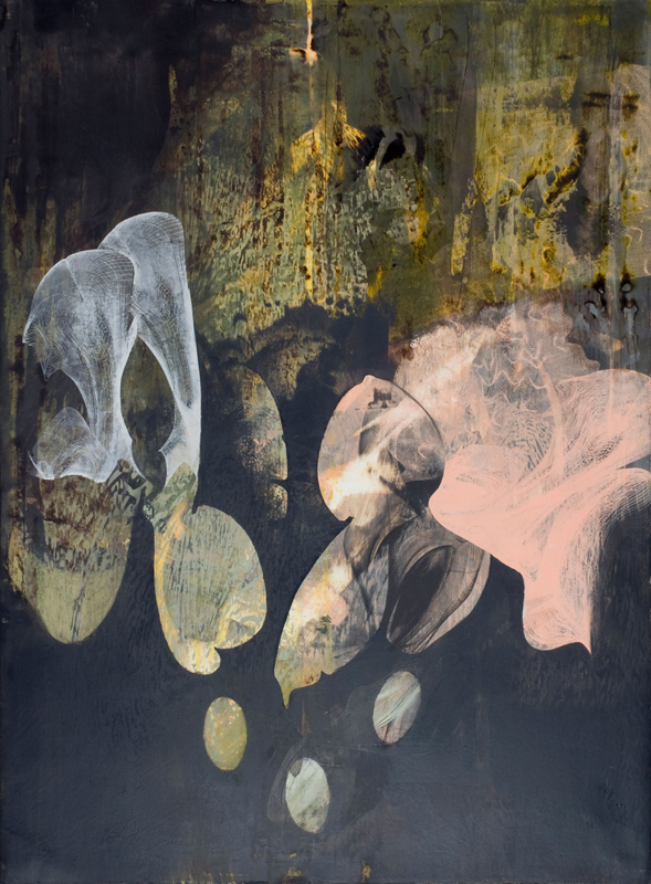 Dorothea VanCamp NKG Boston MA