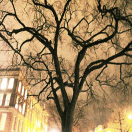 Uprooted Project